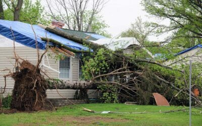 3 Steps to Take after a Storm Damages Your Roof in Billings