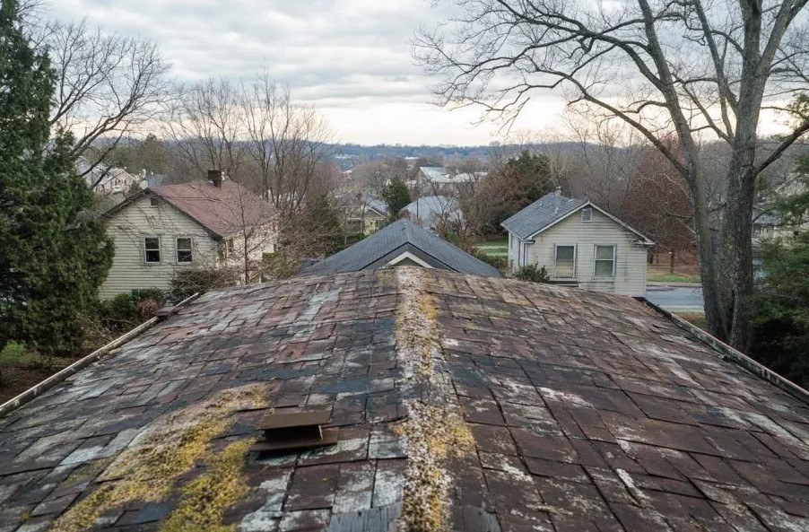 Tips for Removing Mold and Algae from Roof in Billings