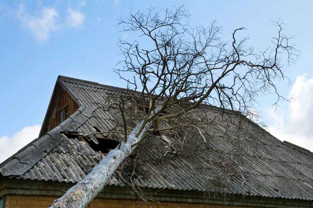 storm damage roof inspection after summer storm in Montana