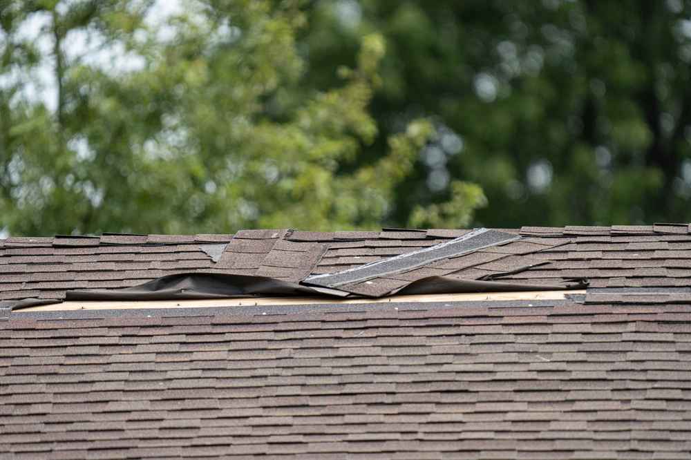 roof damage repair