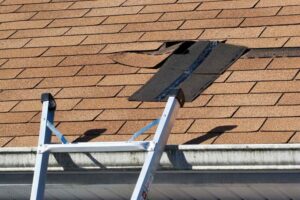 roof damage repair
