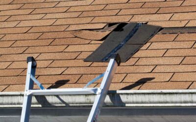 Top 5 Signs Your Roof Needs Immediate Attention