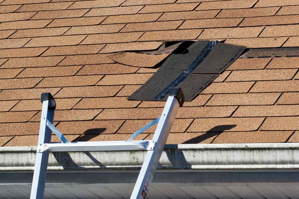Top 5 Signs Your Roof Needs Immediate Attention