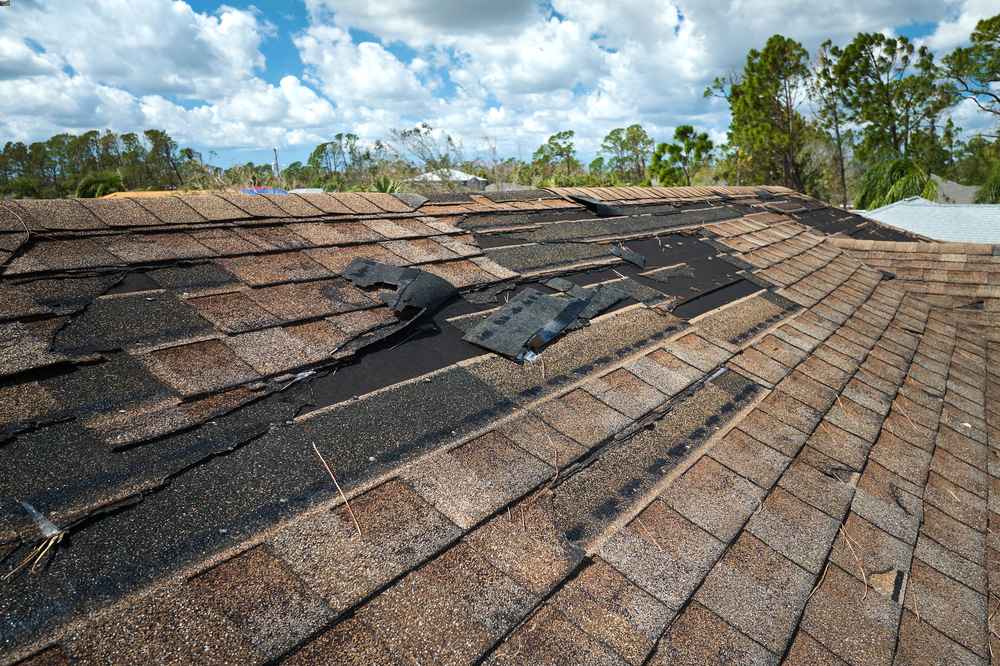 roof damage repair