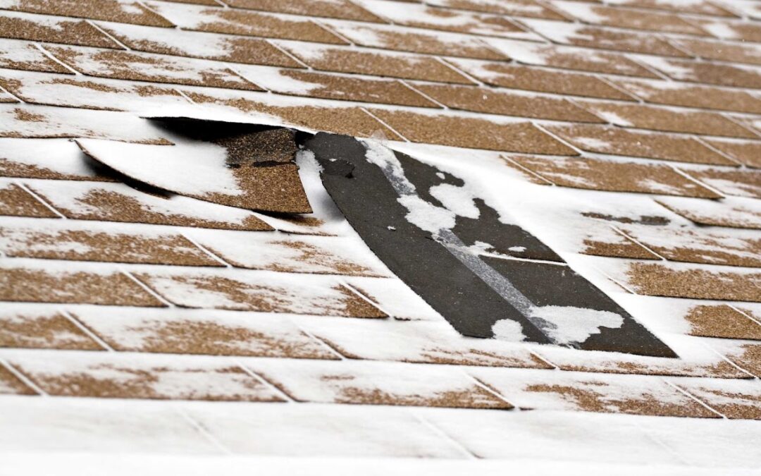Freeze-Thaw Cycles: What Park City, MT Roofs Endure