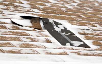 Freeze-Thaw Cycles: What Park City, MT Roofs Endure