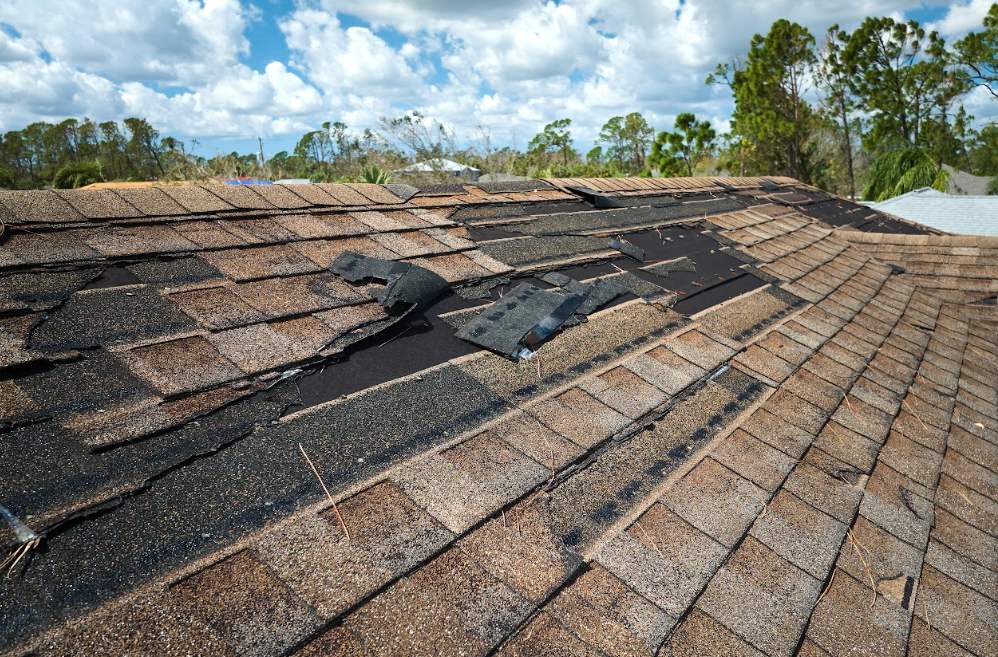 insurance claim for roof damage in Billings Heights, MT