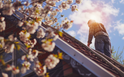 Spring Roof Cleanup Tips for Columbus, MT Homeowners