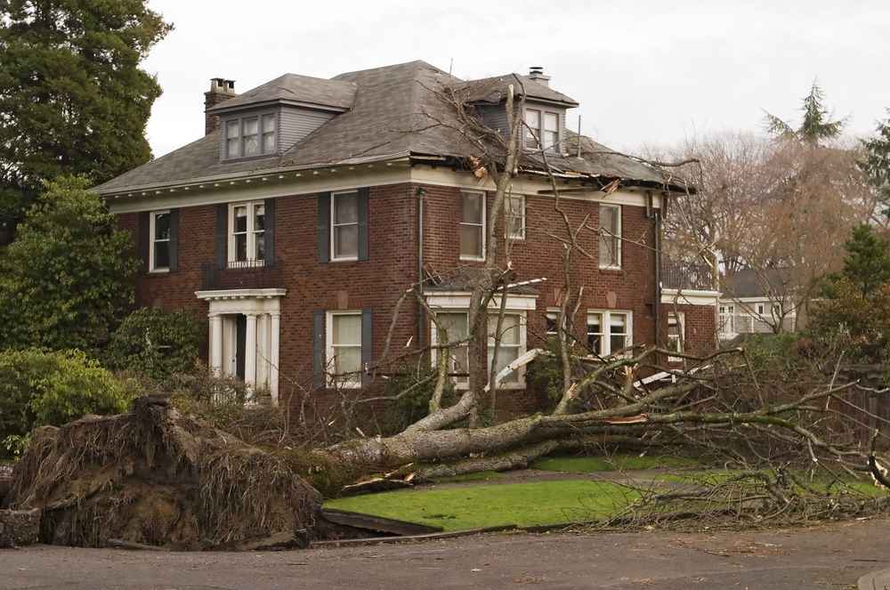 Trusted Storm Damage Repair in Hardin MT